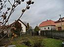 Třibřichy